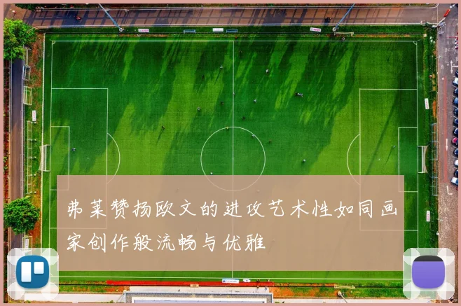 弗莱赞扬欧文的进攻艺术性如同画家创作般流畅与优雅
